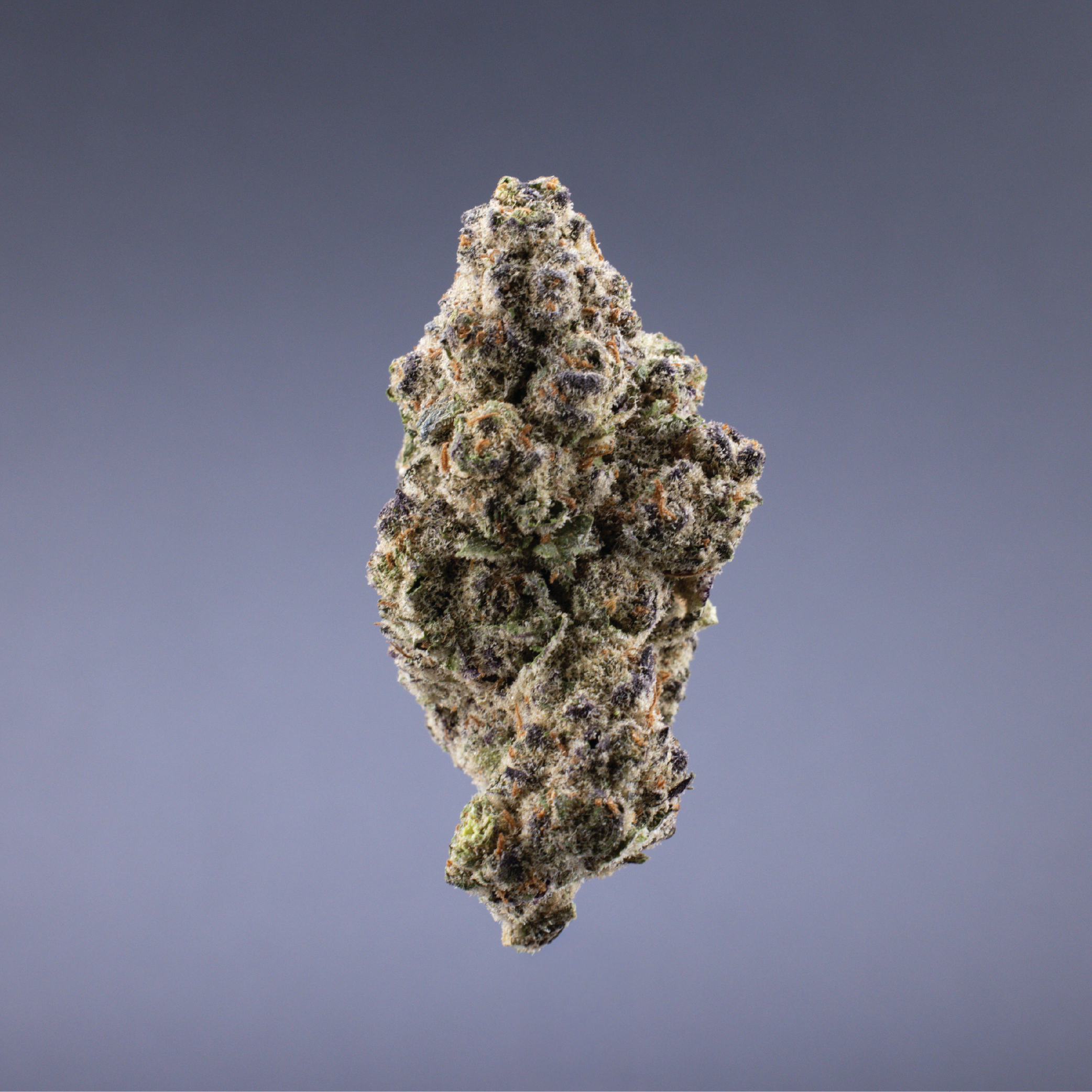 Ignite Cannabis